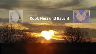 Kopf, Herz und Bauch!
