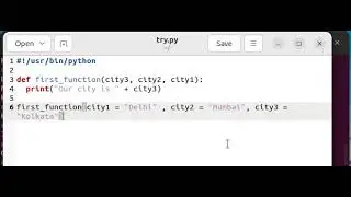 Python: function with code examples