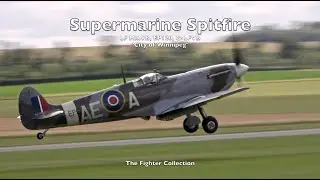 Spitfire LF Mk.Vb, EP120, G-LFVB - The Fighter Collection