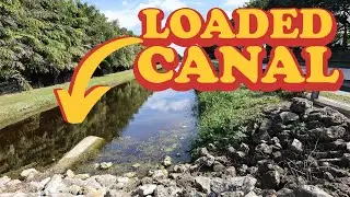 This Canal is LOADED with Peacock Bass and Largemouth (feat. Smithwick Rattlin' Rogue)