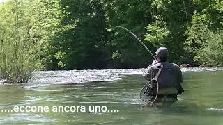 Il kupa (1/3)