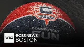 Steve Pagliuca's bid to move WNBA team to Boston still needs league approval