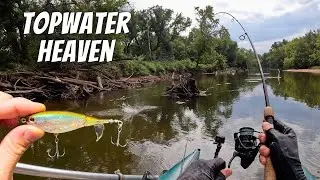 Подбор Беркли Чоппо для Hungry River Predators (DNR Encounter)