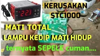 kerusakan termostat stc1000 tidak nyala n lampu kedip