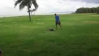 Aprendiendo a atajar