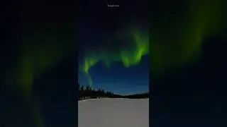 Northern Lights #shorts #northernlights #light #shortsviral #youtubeshorts