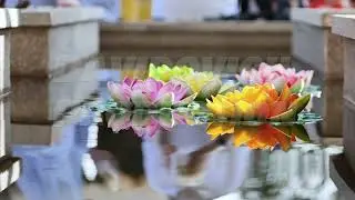 Colorful artificial lotus flowers floating on water in Vietnam