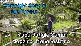 Best resort in Nagzira | Muba jungle camp |  Nagzira Tiger Reserve vlog
