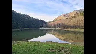 Una Giornata nei Boschi di Sant'Agata D'Esaro_HD