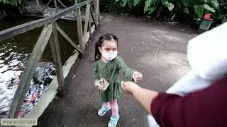 visitando El Jard&iacute;n Botanico/ El salvador 🇸🇻🇸🇻🌳🌴🌱🍃☘️🌼🌻