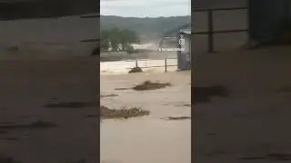 punjab current condition #short #shortsfeed #song #viral