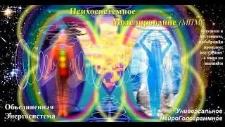МЕНТАЛЬНОЕ ПСИХОСИСТЕМ. МОДЕЛИР-Е (мпм) ОБЪЕДИНЁН. ЭНЕРГОСИСТЕМЫ. Завершение Форума МаЭД, 19.02