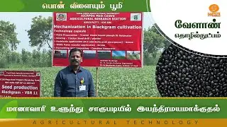 மானாவாரி உளுந்து சாகுபடியில் இயந்திரமயமாக்குதல் | Agriculture Technology