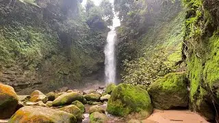 YOU'RE MISSING OUT! 🌴 3 HOURS | Turquoise Waterfall & Jungle Sounds White Noise for Ultimate Escape