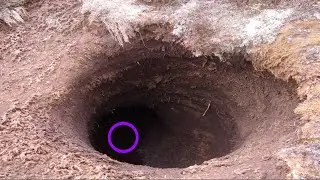 DEEP HOLES EQUAL BIG REWARD! | DIG OR DIE! Metal Detecting For Food Episode #11 | JD's Variety
