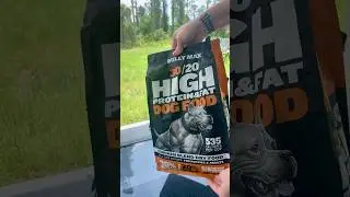 From Skinny to Strong #BullyMax High Protein Dog Food #shorts