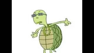 GOT DAT TURTLE FLOW 🐢 with Nicholas Megalis #slowswag   Vine by Megawab! Funny 7 Second Video