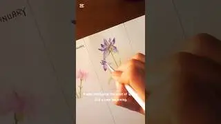 The Secret Meaning Behind Iris Flowers