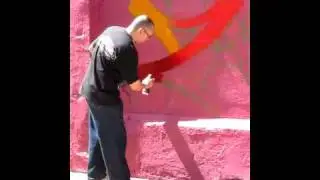 ZIMAD 5PTZ ~ Pink Panther Wall