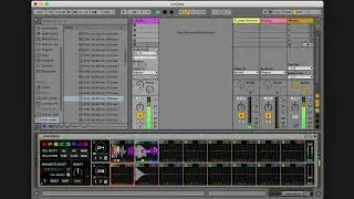 08 Cell Self Modulation