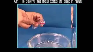Science Experiments  -  To Observe That Metal Oxides Are Basic In Nature