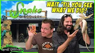 WE GAVE THESE SNAKES THE BEST DAY OF THEIR LIVES!