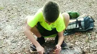 My Scout Life