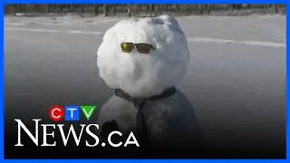 Unseasonably warm weather in Edmonton threatens winter festival