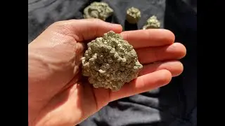 💎 Pyrites, Marcassites, Calcite de No&euml;l du Cap Blanc Nez, Nord pas de Calais 💎