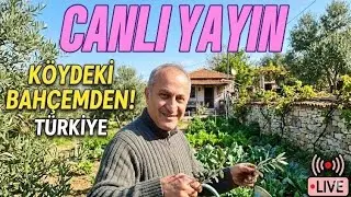 Bahçemden CANLI Yayın