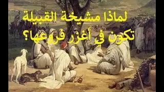لماذا مشيخة القبيلة تكون في أغزر فروعها عدداً ؟