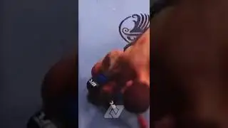 Coldest pictures in MMA Khabib Nurmagomedov