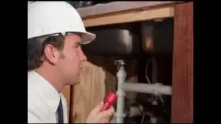 Phoenix Mold Removal | Call (602) 832-8999 | Mold Remediation Experts