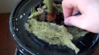 Drip Top Feed Hydroponic System Home-made  Update