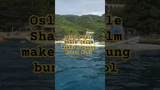 Oslob Whale Shark Experience (Filmmaker na si bunso #lol ) || 12.26.2026