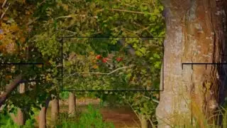 Spotter scope hacks (pubg)