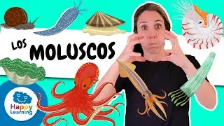 🐚 LOS MOLUSCOS en LENGUA DE SIGNOS | Vídeos Educativos para Niños de PRIMARIA | @HappyLearningES