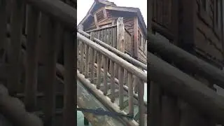 Tree house di Woodburn Oregon 