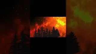 Black Friday Bush Fire