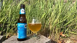Wachusett Brewing Company Blueberry Ale Review