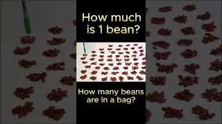 Are the beans from Dollar Tree the right weight? How many beans are in a bag? #shorts #relaxing