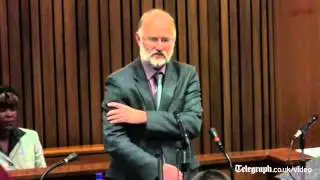 Pistorius trial: Steenkamp's arm amputated by gunshot
