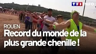 Les Normands décrochent le record du monde de la plus grande chenille