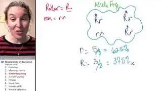 Mechanisms of Evolution 3- Allele frequency