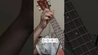 Easy Beginner Friendly Ukulele Chords🎸🔥#learnukulele#ukuleletutorial#ukulelelesson
