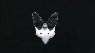 AntiAlias - Somber Clarity (Midas 104 & Jonas Saalbach Remix) SHKL001