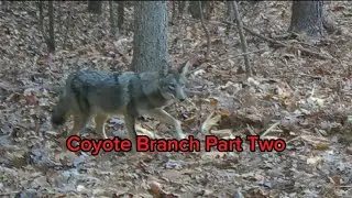 Artifact Hunting At Coyote Branch Part 2