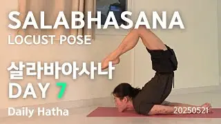 Salabhasana / Locust pose / [7/30 Day] #yoga #요가 #yogi #salabhasana  #locustpose  #살라바아사나