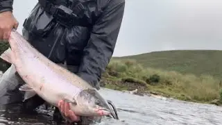 2 Springers | 2 Rivers | 1 Day                                            Fly Fishing Ireland