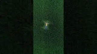#Shorts Aerial view from drone - girl lying in the field